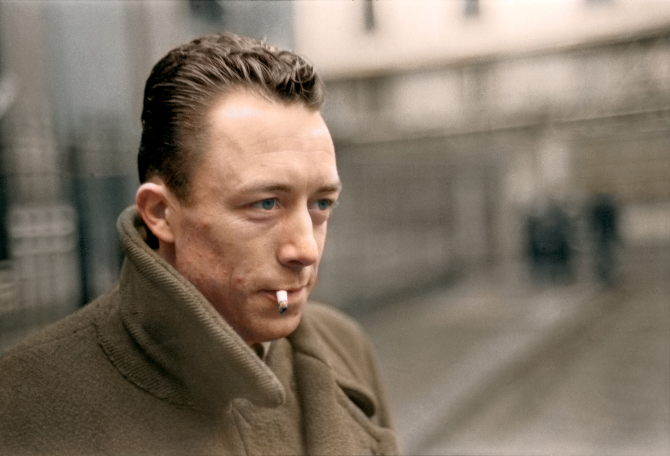 noviembre albert camus